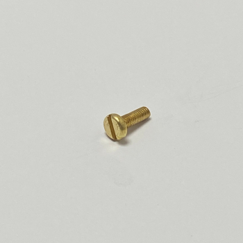 M2.5 X 6 BRASS SLOTTED CHEESE SCREWS