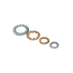 Shakeproof Washers